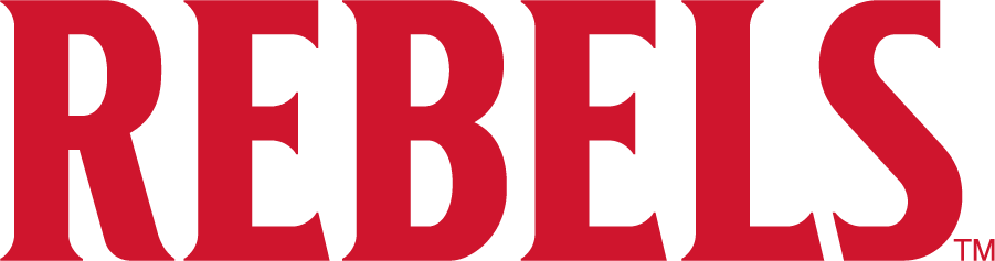 UNLV Rebels 2017-2018 Wordmark Logo v2 diy iron on heat transfer